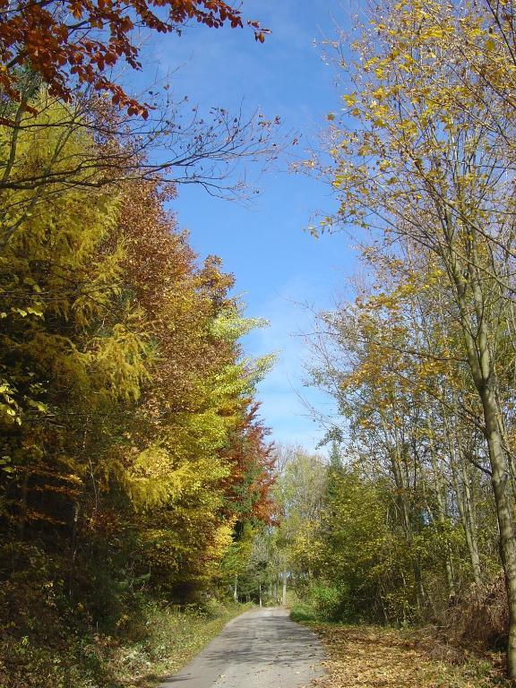 Wald Goelsenhof - Fam. Buechinger别墅 外观 照片